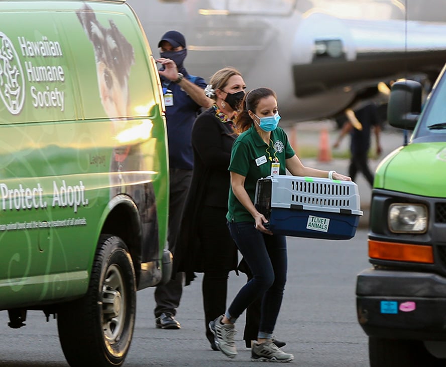 AnimalHealth_Evacuation