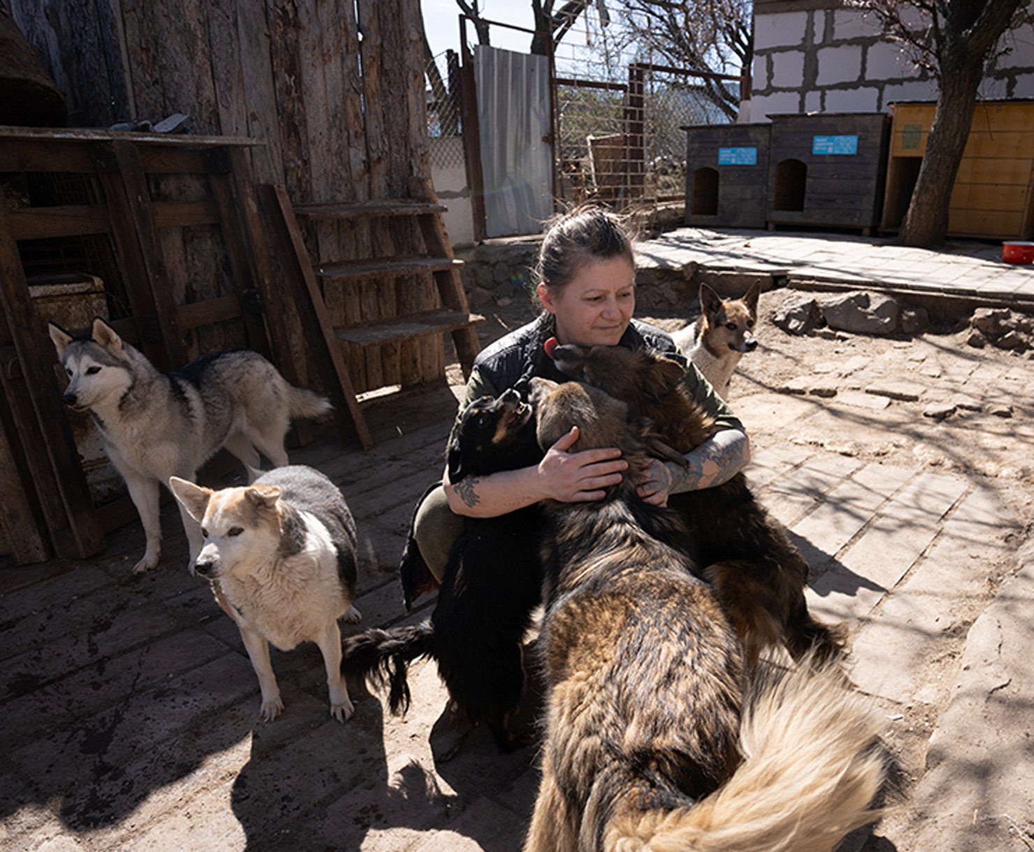 AnimalHealth_SafeSpace