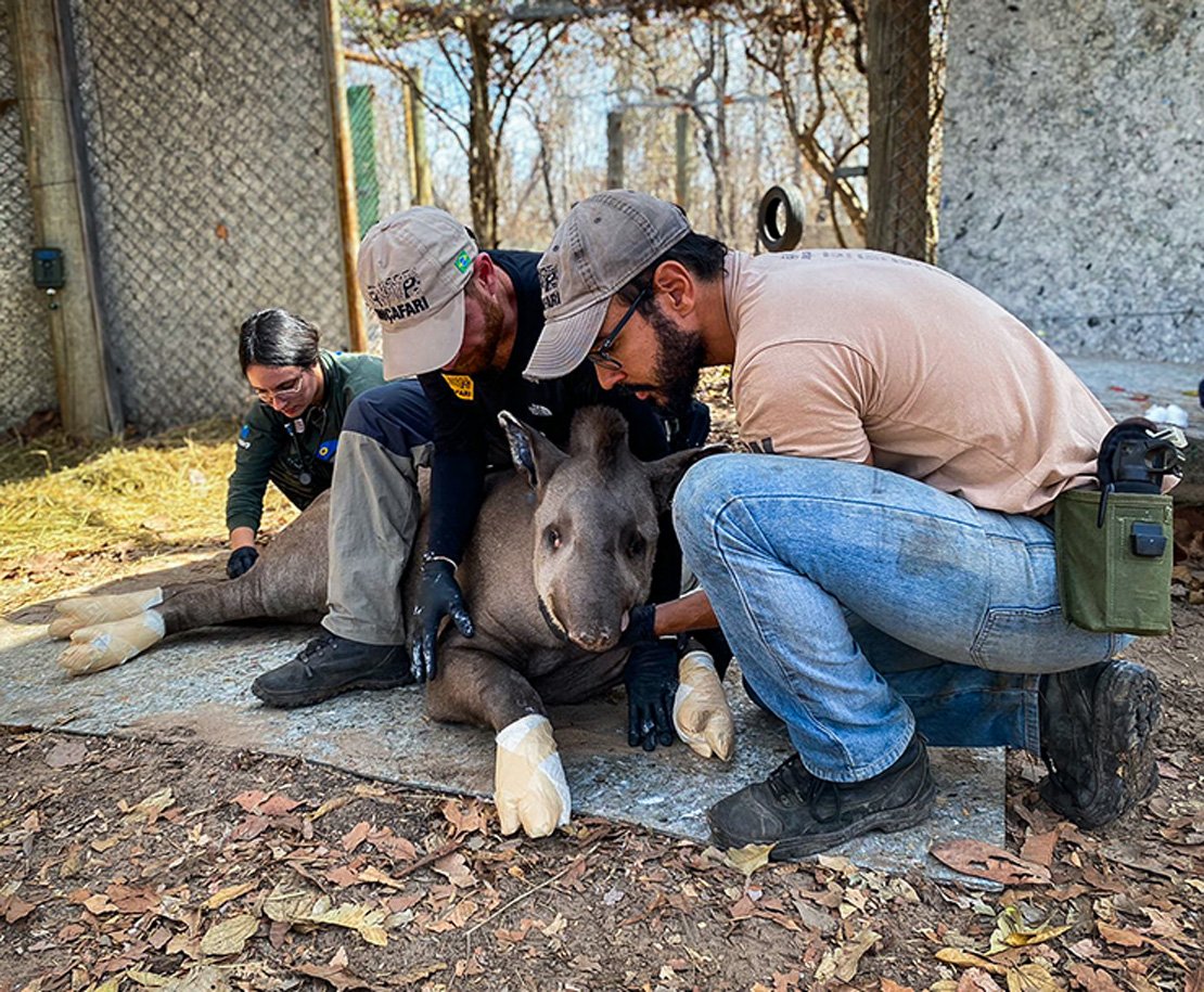 AnimalHealth_Wildlife2