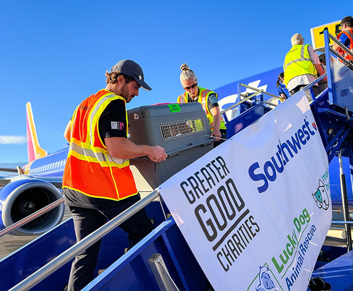 CrisisResponse_WeDontWorkAlone@2x