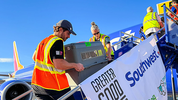 CrisisResponse_WeDontWorkAlone@2x