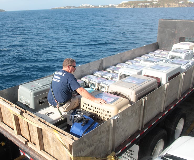 Logistics_Responsiby