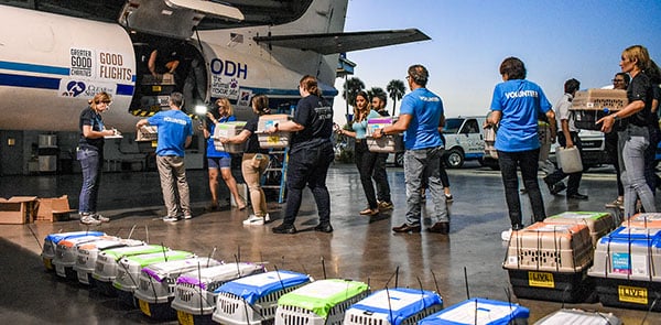 WhatWeDo_CriticalAid