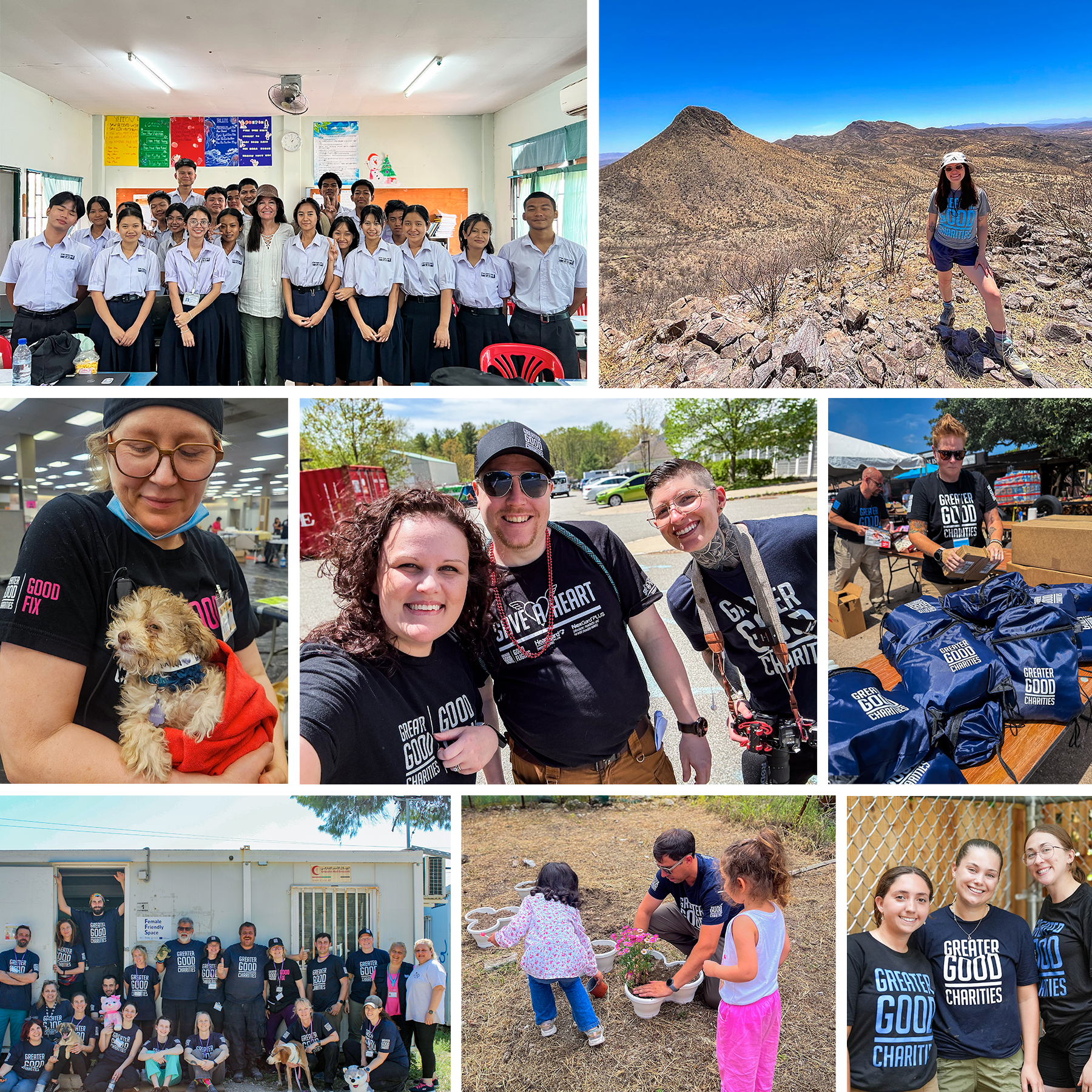 amplifier-newsletter-collage-1800x1800 (2)