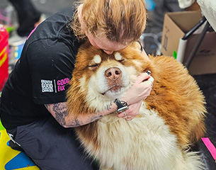 FosterProgram FosterProgram